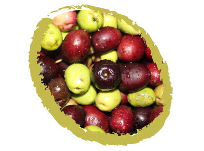 biancolilla